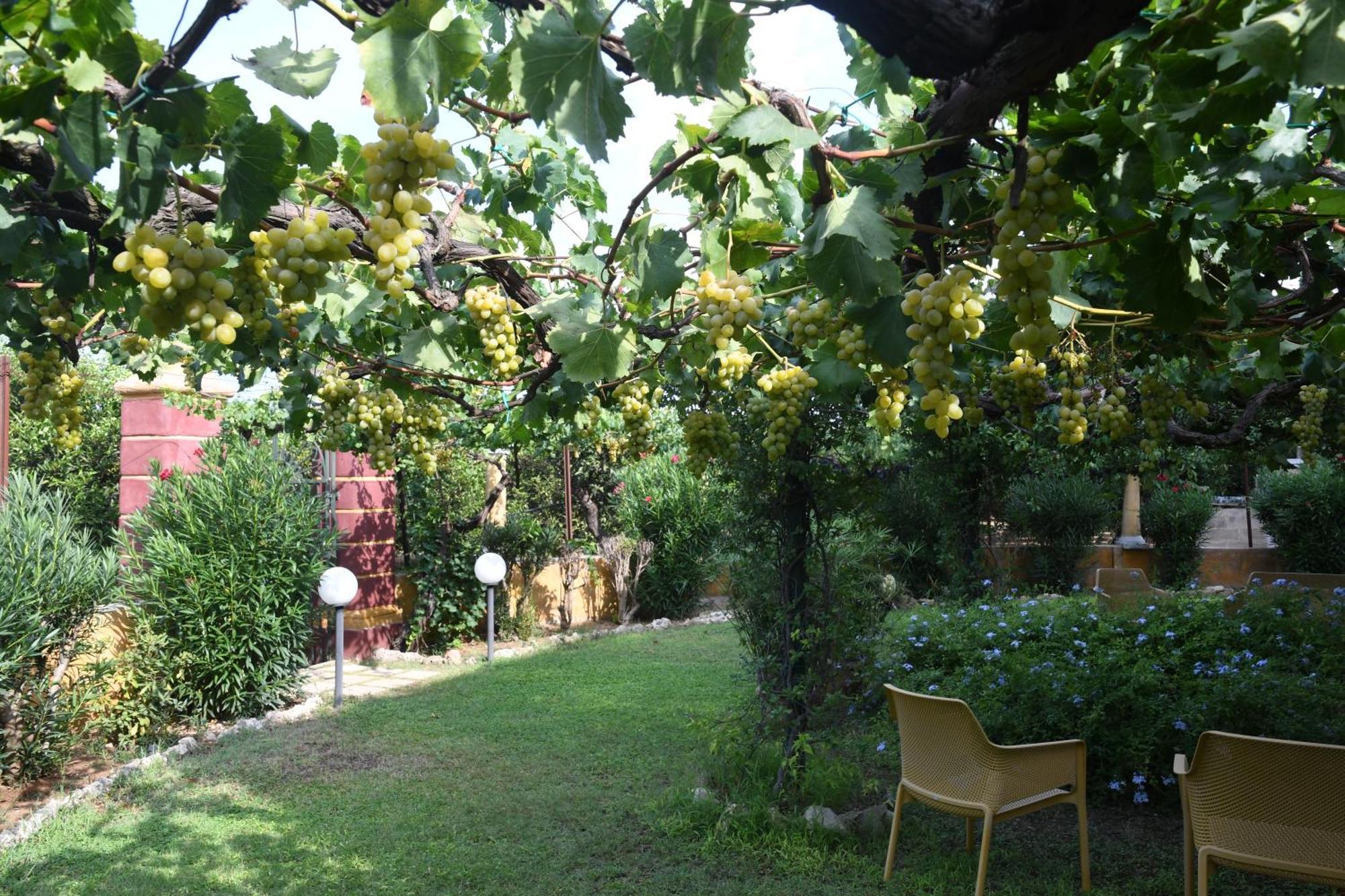 Villarancia Alezio Buitenkant foto